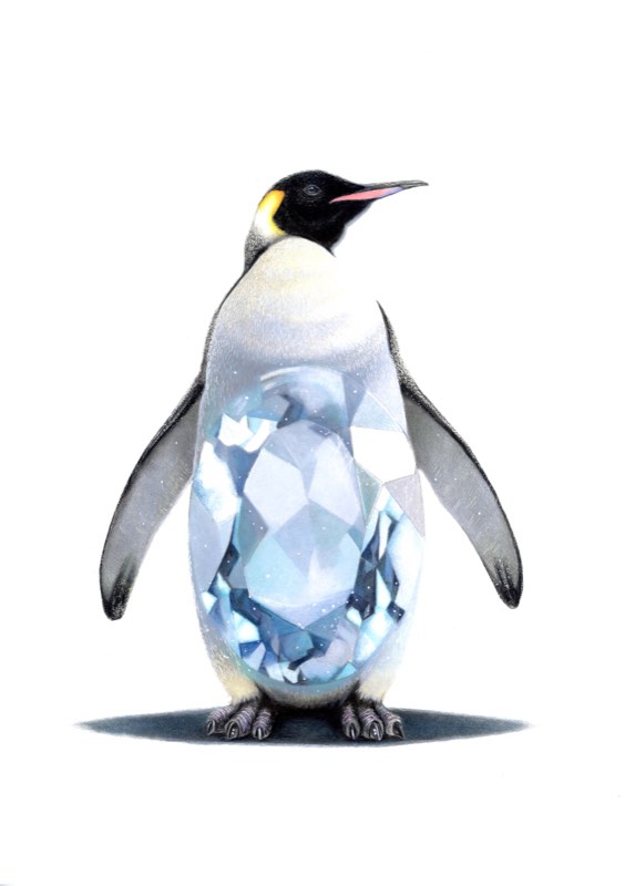 コウテイペンギン×アクアマリンを描いた色鉛筆作品