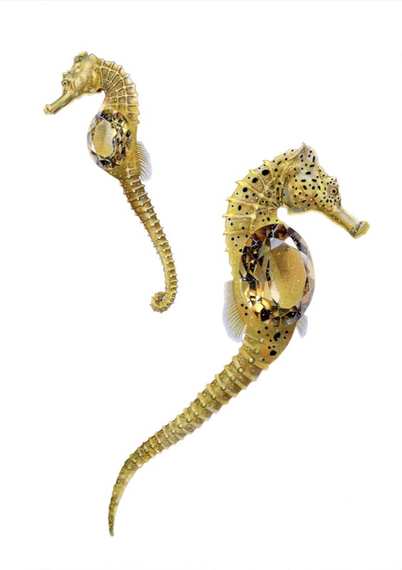 タツノオトシゴ×インペリアルトパーズを描いた色鉛筆作品