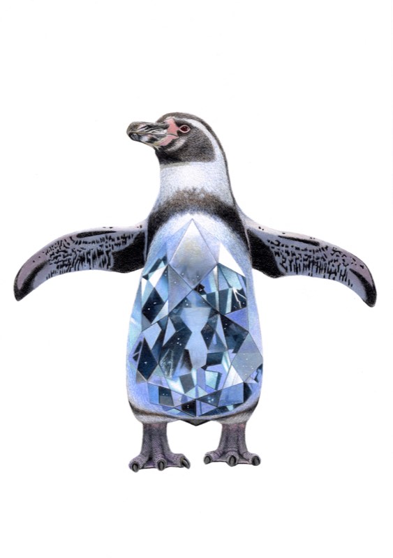 フンボルトペンギン×アクアマリンを描いた色鉛筆作品