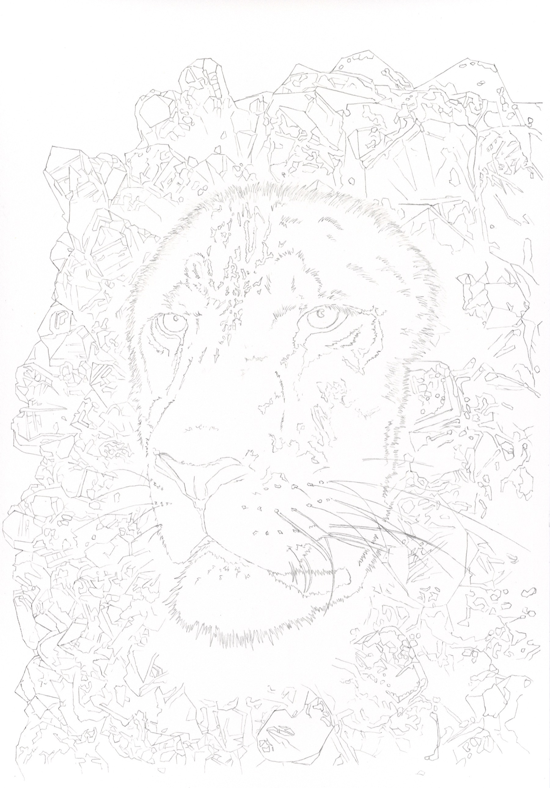 白いライオンと鉱物を描いた線画