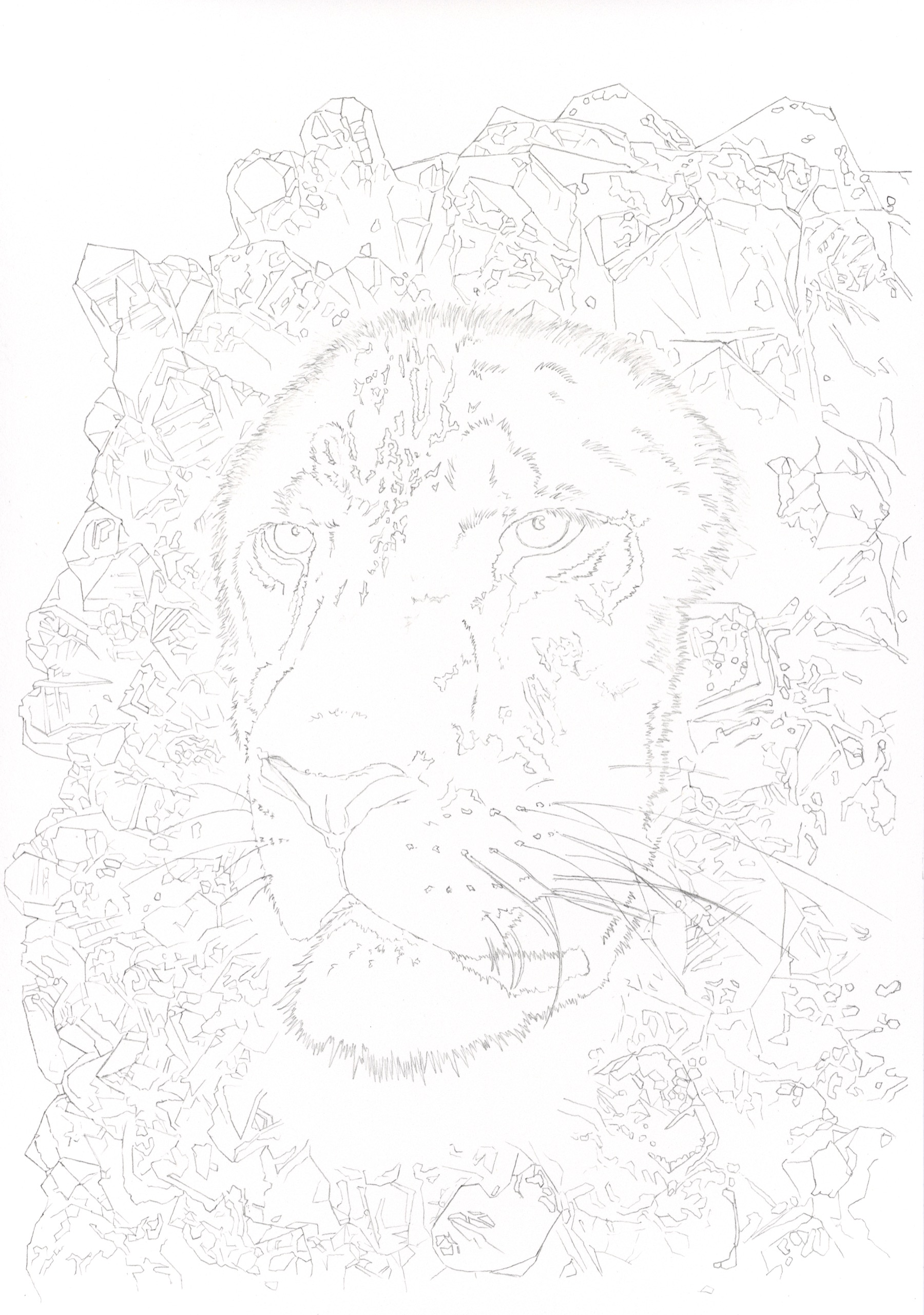 白いライオンと鉱物を描いた線画